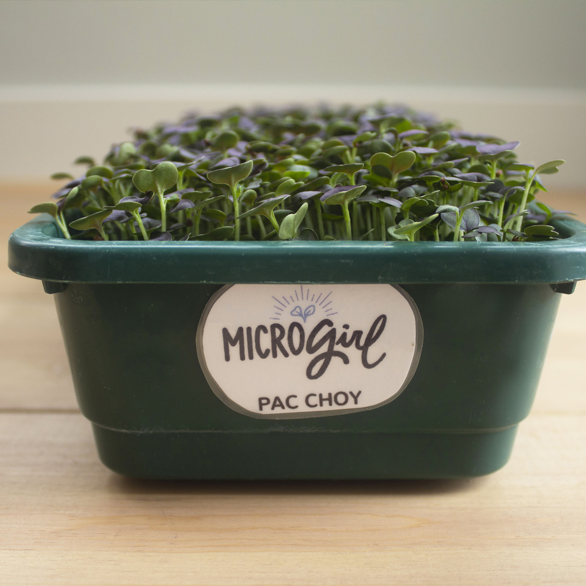 microgirl-square-growers1
